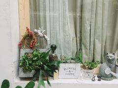 -拾壹cafe·工作室