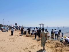 -碧海金沙