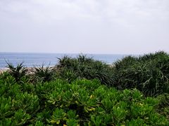 -七星潭蓝天广场