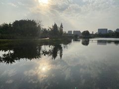 -眉山湿地公园(东坡区)