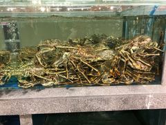 -宝燕海货工场(长江国际店)