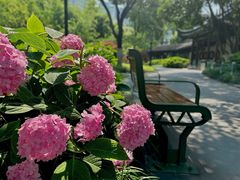 -常州古运河南大街文化旅游区-人民公园