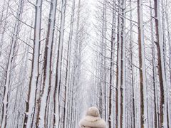 -山王坪喀斯特国家生态公园