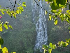 -水濂山森林公园