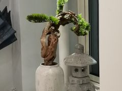 -王守财小山園