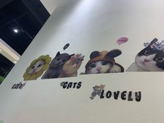 -藏猫猫咖啡主题馆(中央大道店)