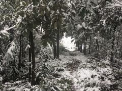-四明山国家森林公园