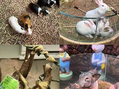 -正佳雨林生态植物园