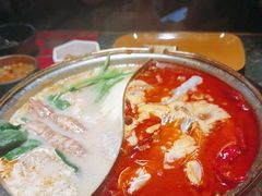 -牛New寿喜烧(金鹰世界店)