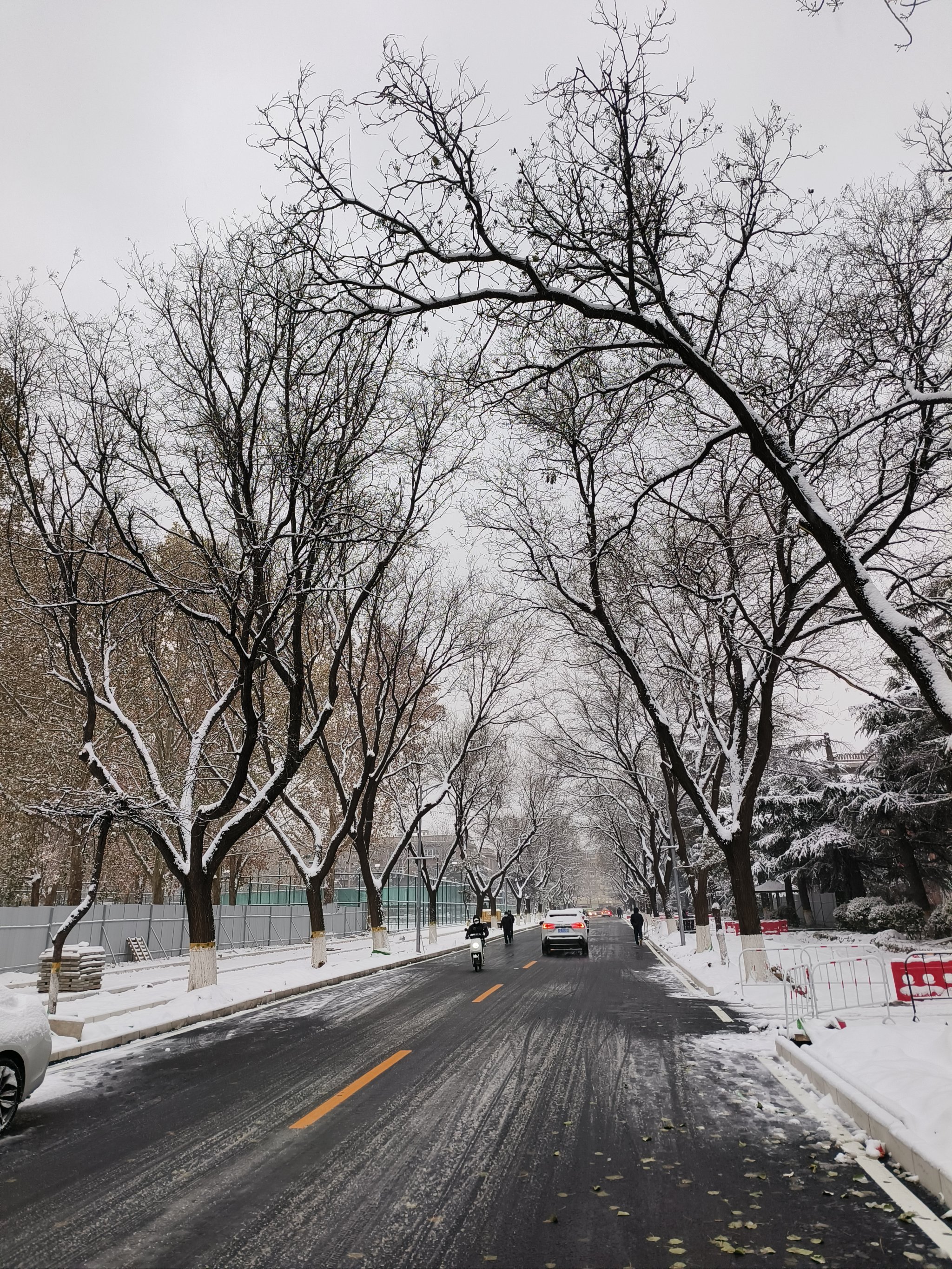 北京下雪的照片图片