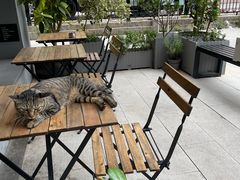 -转山咖啡(松柏社区店)