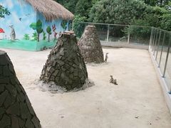 -苏州太湖西山岛开心农场