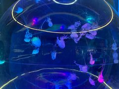 -南昌融创海世界