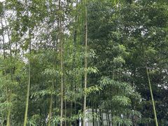 -上海外国语大学(虹口校区)