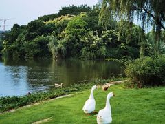 -东华大学(松江校区)