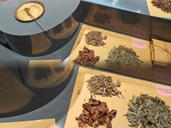 -广东中医药博物馆