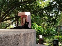 -九龙公园