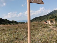 -白草畔自然风景区