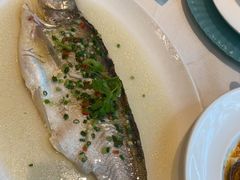 -阳澄湖费尔蒙酒店颐丰阁中餐厅(马鞍山西路店)