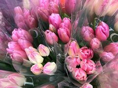 -循礼门鲜花花市(武汉循礼门店)