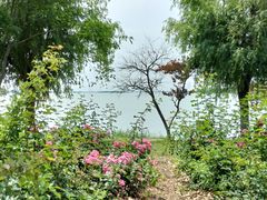 -漕湖湿地公园