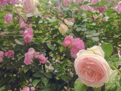 -日本风情街
