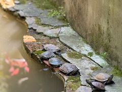 -超山青莲寺