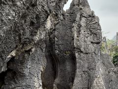 -泥凼石林风景区