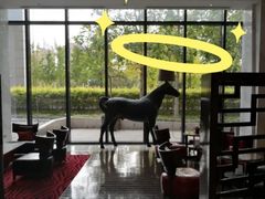 -上海虹桥西郊假日酒店