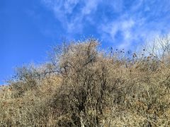-太子岭滑雪场