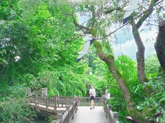 -贵阳市花溪国家城市湿地公园