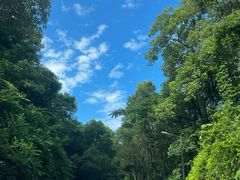 -MOJ coffee(瓯海泽雅水碓坑店)