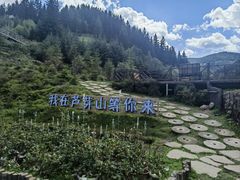 -芦芽山旅游度假区