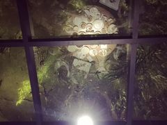 -食膳公园包子铺(烈士公园店)