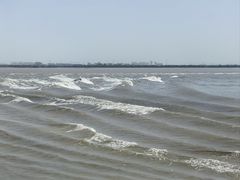 -观潮胜地公园