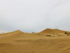-亿利库布其七星湖沙漠生态旅游区