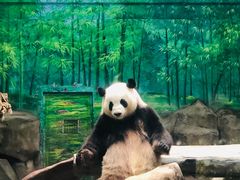 -灵玲国际马戏城