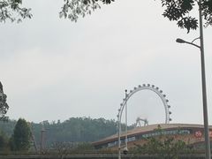 -海底捞火锅(龙岗星河COCO Park店)