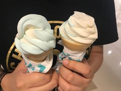 -NOME(太阳百货店)
