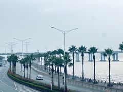 -宝安西湾红树林湿地公园