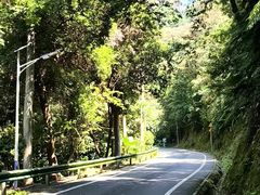 -佛山市三水区大南山森林公园