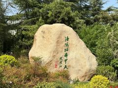 -西苑公园