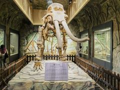 -白帝城·瞿塘峡景区