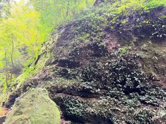 -赤水丹霞旅游区·佛光岩