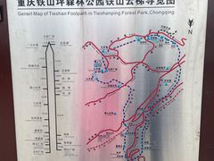 -铁山坪森林公园