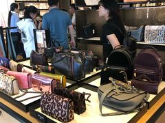 -COACH蔻驰(百联奥特莱斯广场店)