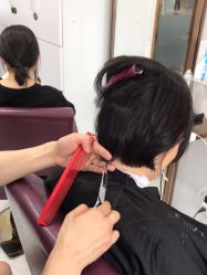 -镁连社·美联社