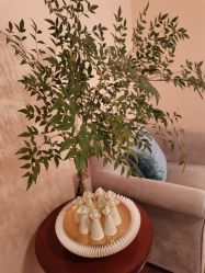 -尊尚柏丽美容SPA