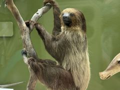 -国家自然博物馆