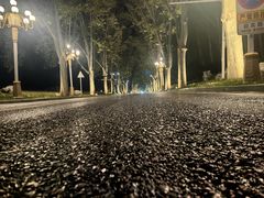 -河南省黄河迎宾馆